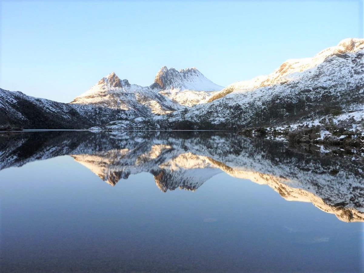 Bed and Breakfast Cradle Alpine Retreat Moina Екстер'єр фото